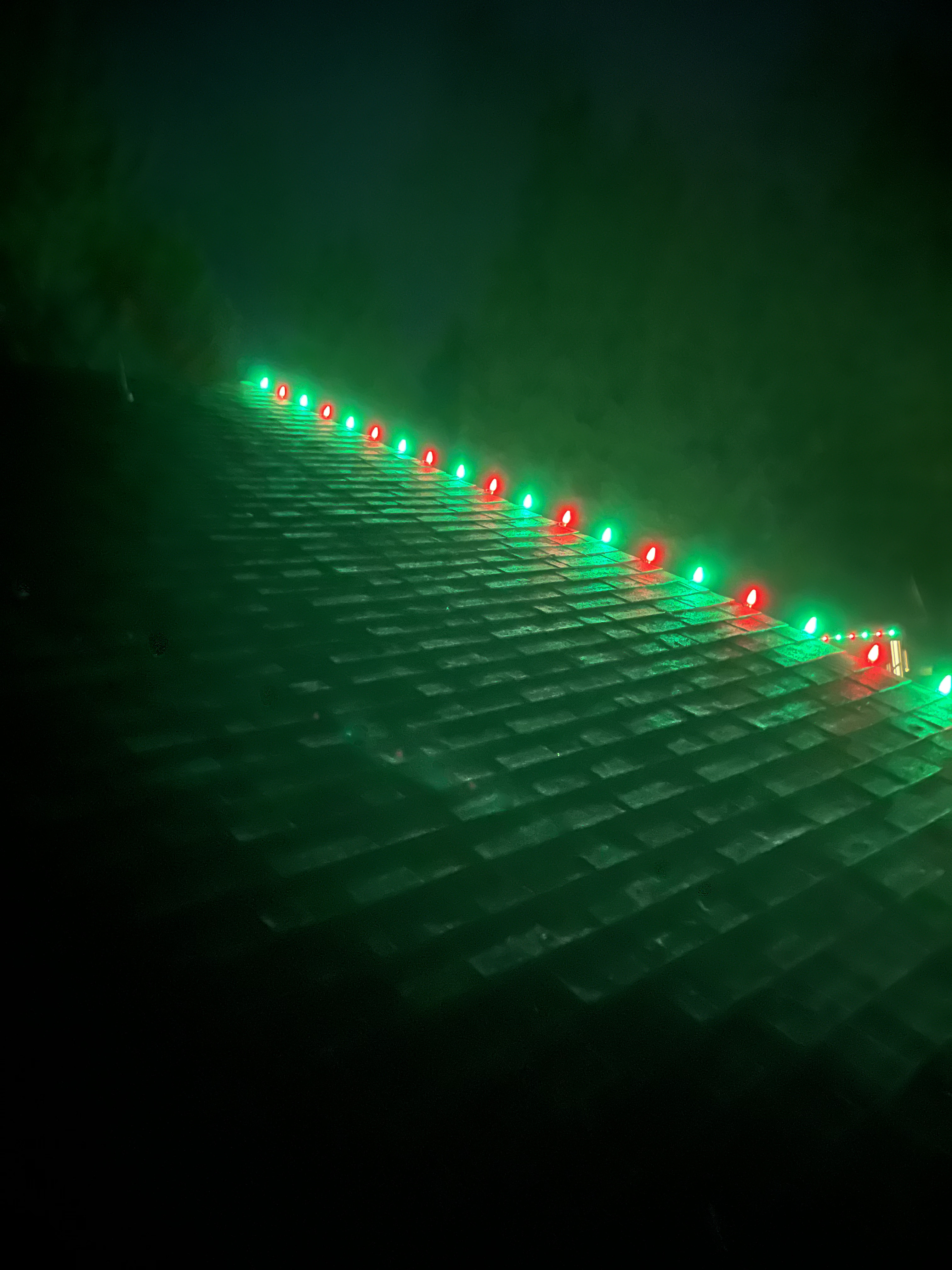Traditional Christmas light colours Roberts Creek BC